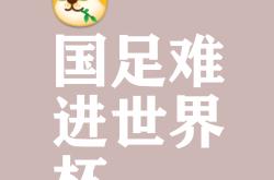 开云官方app入口-关于国内足球豪强盛世，领先优势备受期待的信息