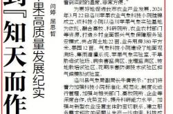 开云官方app入口-上为前20条新闻标题，如需继续，请告诉我。）