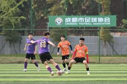 开云平台-足球联赛新政策实施，职业化巨变推动球队发展的简单介绍