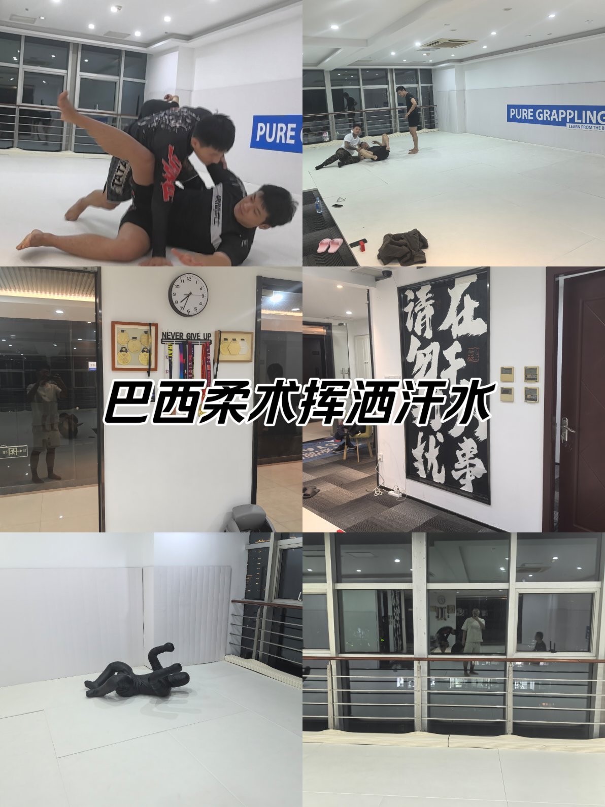 巴西队在场上挥洒汗水，奋力拼搏争胜的简单介绍