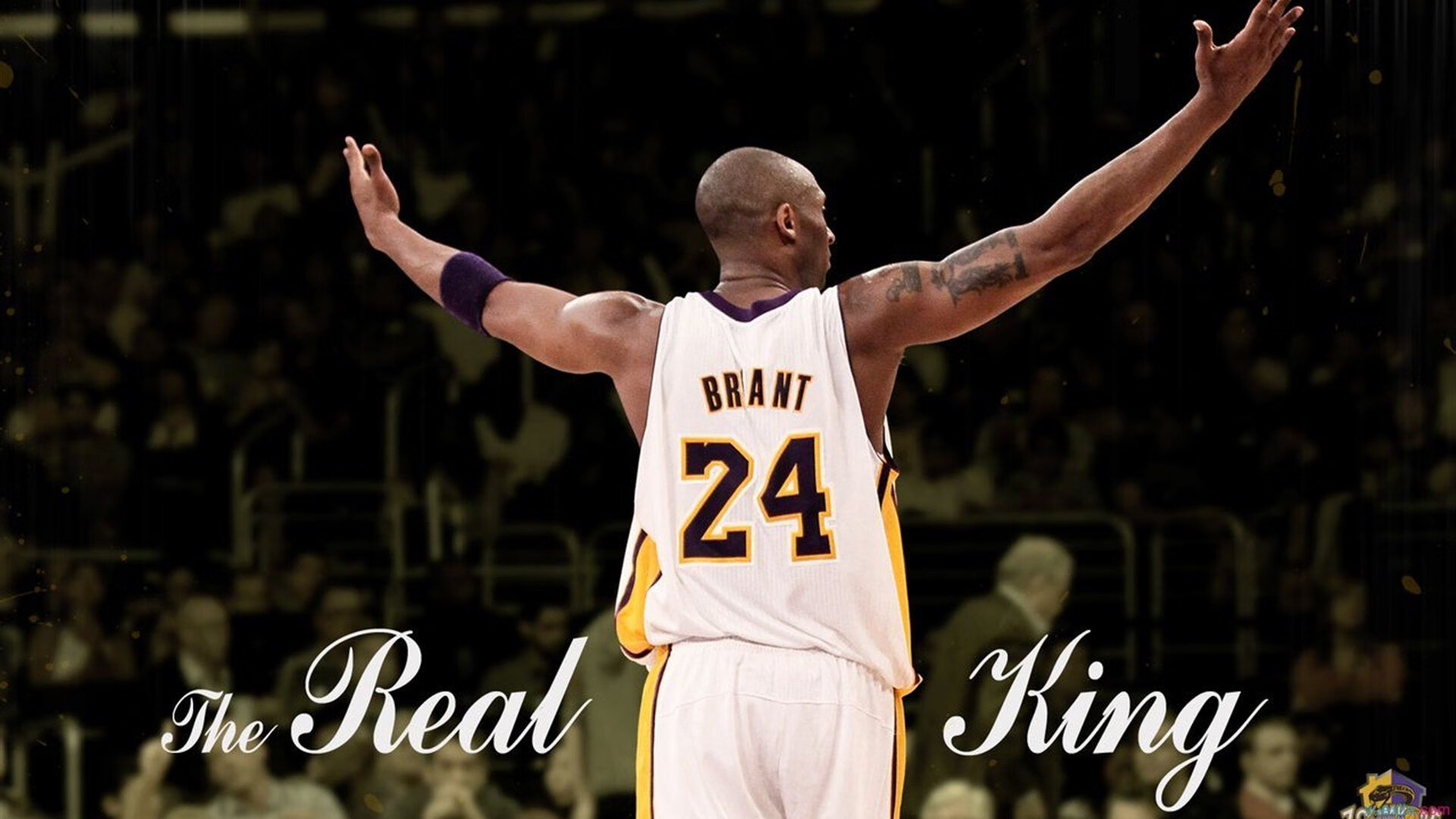 暗夜刺客，莫兰特的美加墨世界杯胜负手