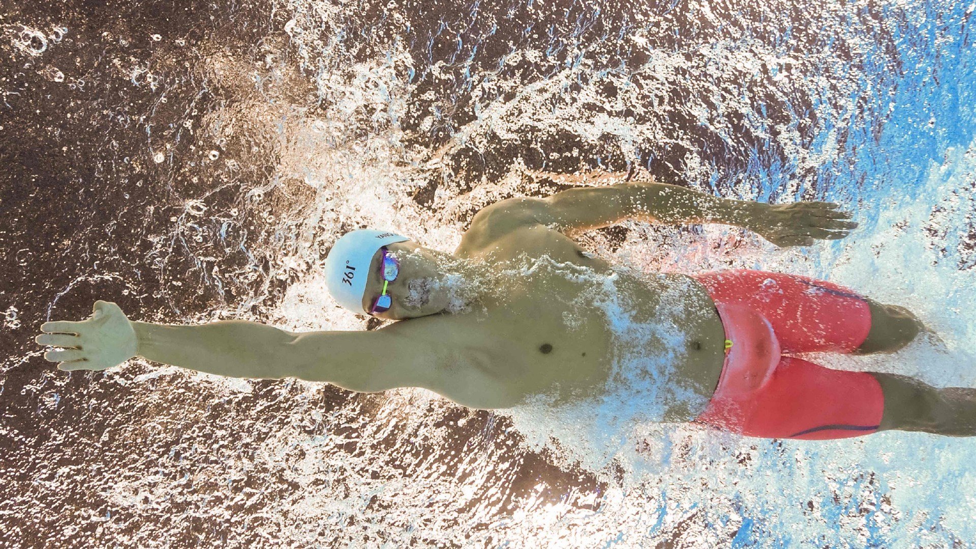 绿茵与球台的和谐交响,葡萄牙奏凯,张本智和燃情